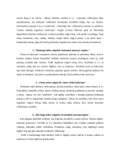 Maisto derinimas 6 puslapis