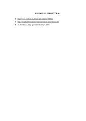 Maisto derinimas 10 puslapis