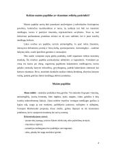 Maisto papildų įtaka odai 2 puslapis