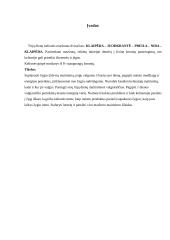 Maitinimo organizavimas: 3 dienų kelionė dviračiais 3 puslapis