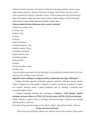 Maitinimo organizavimas: 3 dienų kelionė dviračiais 6 puslapis