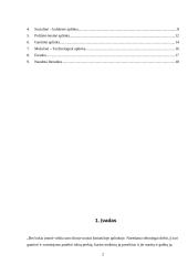 Makroaplinkos įtaka organizacijai 2 puslapis