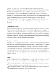 Makroaplinkos įtaka organizacijai 11 puslapis