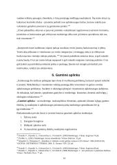 Makroaplinkos įtaka organizacijai 14 puslapis