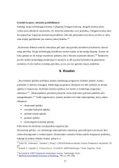 Makroaplinkos įtaka organizacijai 17 puslapis