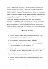 Makroaplinkos įtaka organizacijai 18 puslapis