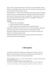 Makroaplinkos įtaka organizacijai 3 puslapis