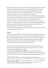 Makroaplinkos įtaka organizacijai 7 puslapis