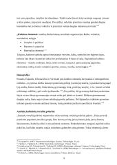 Makroaplinkos įtaka organizacijai 9 puslapis