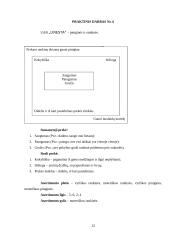 Marketingo komplekso elementai: UAB "Linesta" 12 puslapis