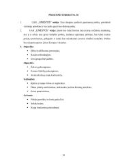 Marketingo komplekso elementai: UAB "Linesta" 19 puslapis