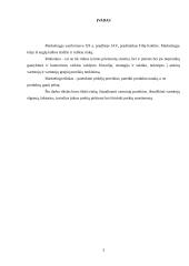 Marketingo komplekso elementai: UAB "Linesta" 3 puslapis