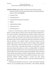 Marketingo padalinys įmonėje 2 puslapis