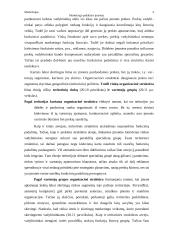 Marketingo padalinys įmonėje 4 puslapis