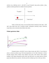 Marketingo priemonių planas: energetinis gėrimas "Red bull" 11 puslapis