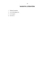 Marketingo priemonių planas: energetinis gėrimas "Red bull" 20 puslapis