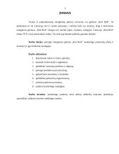 Marketingo priemonių planas: energetinis gėrimas "Red bull" 3 puslapis