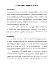 Marketingo priemonių planas: energetinis gėrimas "Red bull" 4 puslapis