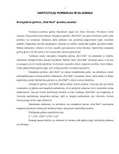 Marketingo priemonių planas: energetinis gėrimas "Red bull" 7 puslapis