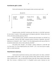 Marketingo priemonių planas: energetinis gėrimas "Red bull" 10 puslapis