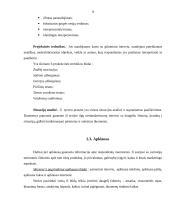 Marketingo tyrimai lininių gaminių parduotuvėje 8 puslapis