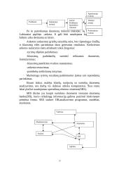 Marketingo tyrimai, jo etapai 13 puslapis