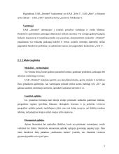 Marketingo tyrimas: telekomunikacijų bendrovė "Omnitel" 3 puslapis