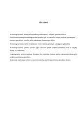 Marketingo tyrimų reikšmė įmonėje 12 puslapis