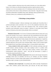 Marketingo tyrimų reikšmė įmonėje 5 puslapis