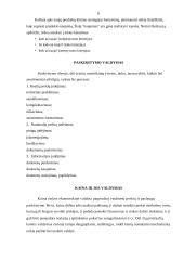 Marketingo valdymo koncepcijos bei procesas 5 puslapis