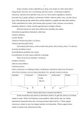 Marketingo valdymo koncepcijos bei procesas 6 puslapis