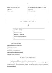 Marketingo valdymo koncepcijos bei procesas 7 puslapis