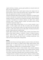 Mąstymo ugdymo sampratos 2 puslapis