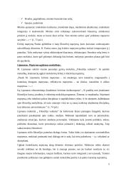 Mąstymo ugdymo sampratos 5 puslapis