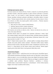 Mąstymo ugdymo sampratos 6 puslapis