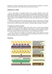 Mašinų kosmetinės medžiagos 4 puslapis