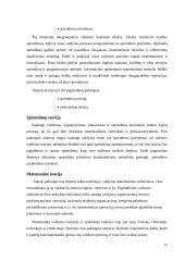 Matematinė vadybos mokykla 16 puslapis