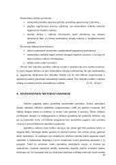 Matematinė vadybos mokykla 17 puslapis