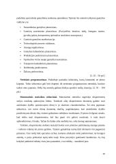 Matematinė vadybos mokykla 19 puslapis