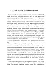 Matematinė vadybos mokykla 3 puslapis