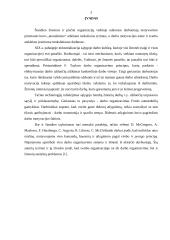 Materialinis ir psichologinis darbuotojų motyvavimas 2 puslapis