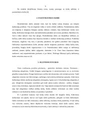 Materialinis ir psichologinis darbuotojų motyvavimas 5 puslapis