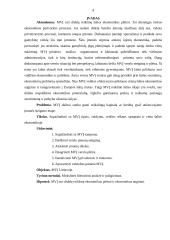 Mažų ir vidutinių įmonių (MVĮ) plėtra Lietuvoje 2 puslapis