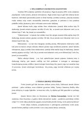 Mažų ir vidutinių įmonių (MVĮ) plėtra Lietuvoje 3 puslapis