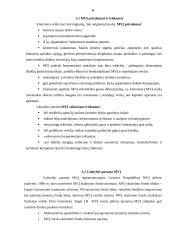 Mažų ir vidutinių įmonių (MVĮ) plėtra Lietuvoje 6 puslapis