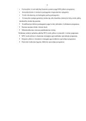 Mažų ir vidutinių įmonių (MVĮ) plėtra Lietuvoje 7 puslapis