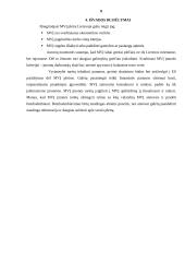 Mažų ir vidutinių įmonių (MVĮ) plėtra Lietuvoje 8 puslapis