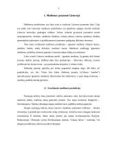 Medienos, baldų ir popieriaus pramonė Lietuvoje, jos vystymosi perspektyvos 3 puslapis