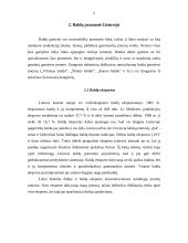 Medienos, baldų ir popieriaus pramonė Lietuvoje, jos vystymosi perspektyvos 5 puslapis