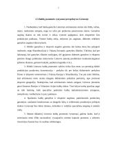 Medienos, baldų ir popieriaus pramonė Lietuvoje, jos vystymosi perspektyvos 7 puslapis